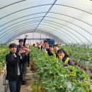 훈훈 농장 이미지