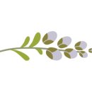 청우팜