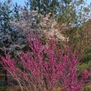 붓내공원 이미지