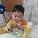 호진농장 이미지