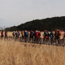 바다해오름 이미지