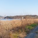 농업회사법인(주)한국원종 이미지