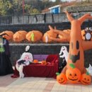 청령포관광안내소 이미지