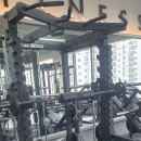 샘보체육관 | pt샘 4명 스타일 비교: 좋은 pt 선생님 찾기(긴글주의)