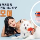 주식회사 메가뉴스