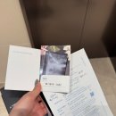 [인문] 클래식은 두 번째라 | [제주 여행] 해비치 호텔&amp;리조트 제주 클래식 스위트룸, 디럭스 룸 숙박 및 조식, 수영장 후기