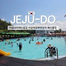 이호테우 비치해변 | 제주 공항 근처 물놀이 명소 이호테우해수욕장 후기 해변포차 샤워장 주차 정보 포함