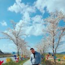 불사조 사진올립니다^^# 이미지