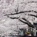 (주)이슈캐스터 이미지