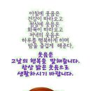 오늘도화이팅 Daum카페