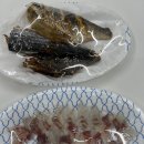 원실내바다낚시터 이미지