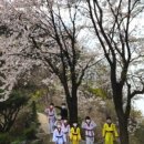 한국체대석사 라온태권도장 이미지