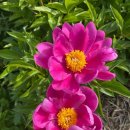 원재한의원 이미지