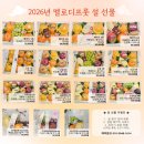 몽차우 | 안산 과일바구니 추천 설명절 첫인사선물 멜로디프룻 내돈내산 후기