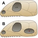 파인포유 이미지