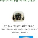 조영연 | [입양행사 후기] 이번 크리스마스는 가족의 품에서 보낼 수 있을까?