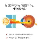 다비치안경 용인사거리점 이미지