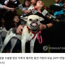 카방이 이미지