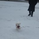 워니시티 이미지