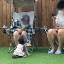 영애견 - 강서구 곰달래로 199 | 펫피x스테이영 애견훈련학교방문 후기