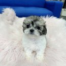 상도축산 이미지