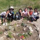 담쟁이농장 이미지