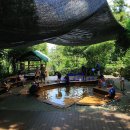 힐링건강랜드 이미지