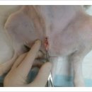 뉴월드 동물병원 이미지