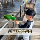 운학주유소 | 용인 실내놀이터 앵무새카페 리프패럿 용인점 아기랑 가볼만한 곳
