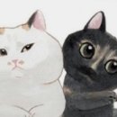 부산경남장례협동조합