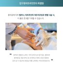 소프트아트 이미지