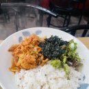 신정네거리역 분식집 얌샘김밥 내돈내산 후기