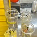 코코호도상무점 | [광주 상무지구 카페] 가성비 망고주스 맛집 고망고 상무점 🥭