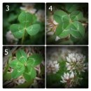 성철농장 이미지