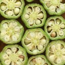 더오크라 이미지