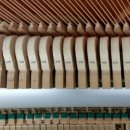 성광프라자 이미지