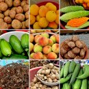 충남 예산 1박 2일 추천여행코스(예산여행 , 예산맛집)