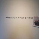 카페일월 이미지