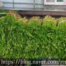 음지리농장 이미지