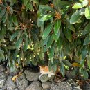 희진주유소 이미지