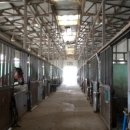 엘리트 승마스쿨 이미지