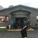 금성한의원 이미지