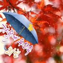 산야초밥상 네이버블로그