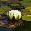 푸쉬앤풀휘트니스 이미지