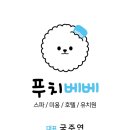 푸치베베