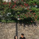 세븐일레븐종로창성점 | 김다빈필름 작가님과 함께 서촌마을 스냅사진