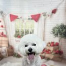 멍멍1길 23 이미지