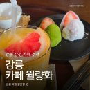 앞집커피 | 강릉카페 추천 감성 가득한 월량화 솔직후기