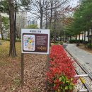 양덕동 삼각지 공원 이미지