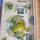 청담안마지압원 | 청담역 근처에서 어깨 통증 잡고 나온 날, 정통안마지압원 후기